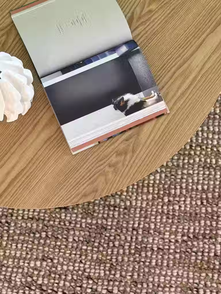 Sunshine Coast gallery image